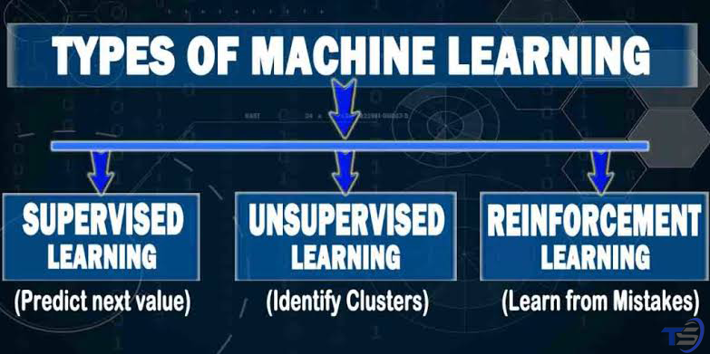 types of Machine Learning